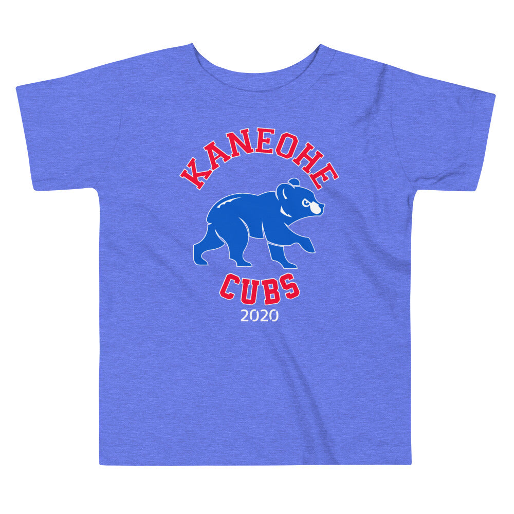 Men's Majestic Heathered Gray Chicago Cubs Earn It T-Shirt 